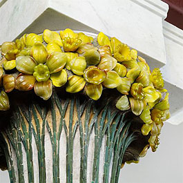 image 10 Daffodil Capital